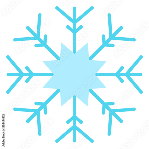 Snowflake winter icon