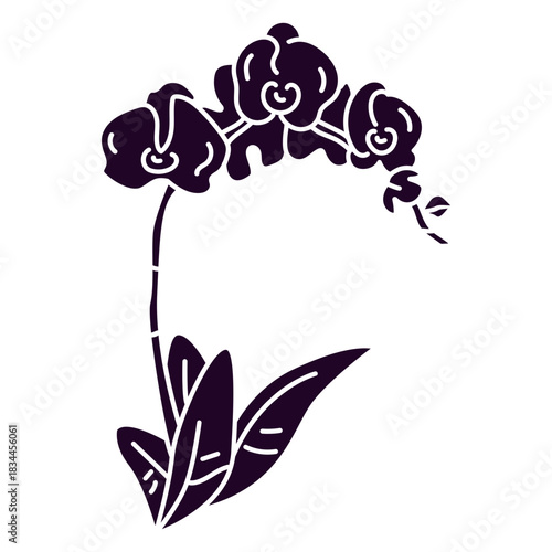 Orchid flowers cut out