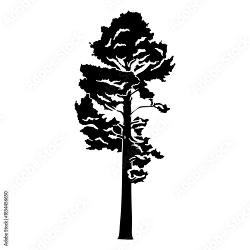 Forest tree cut out