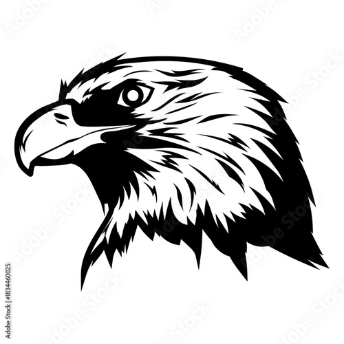 Bird eagle animal head