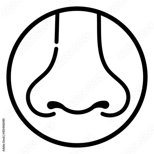 Nose front view stroke