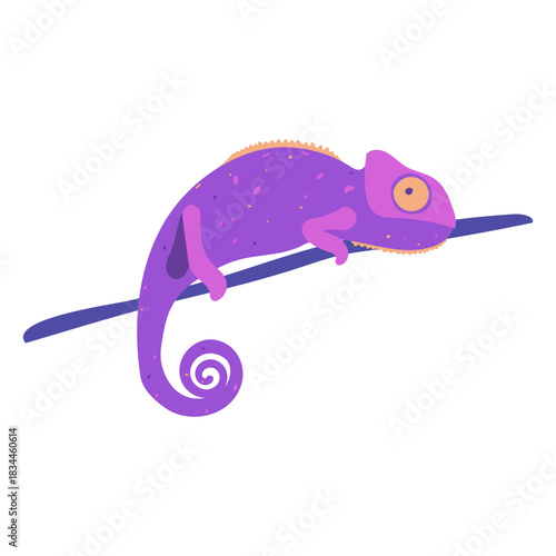 Purple chameleon animal semi flat
