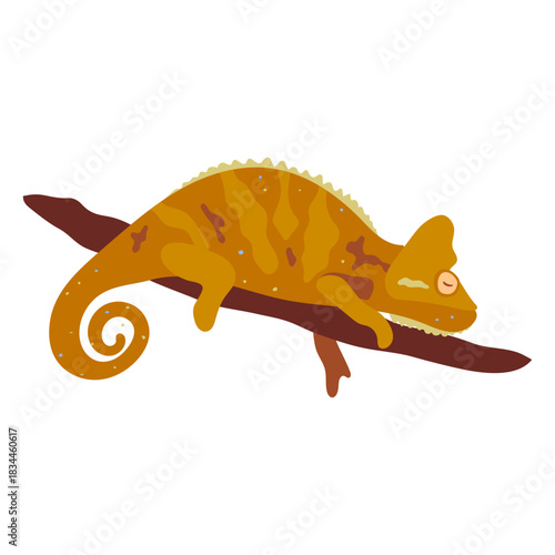 Orange chameleon reptile semi flat