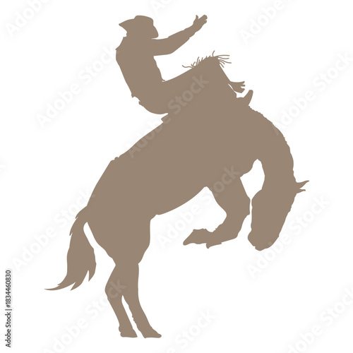 Horse rider cowboy silhouette