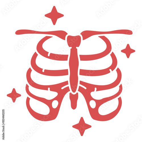Human rib cage cut out