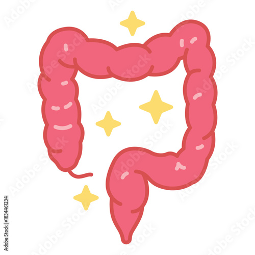 Pink human intestines color stroke