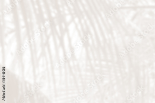 Cloud dancer color palm leaf blur. Monocrome texture 2026. Color of the year.