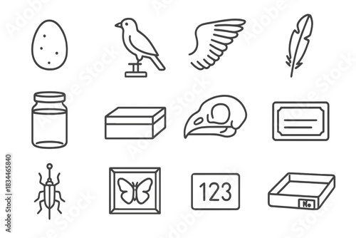Preserved Specimen Icons. Line style icons of preserved specimens: bird egg, mounted bird, wing spread, feather sheet; glass jar,