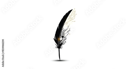 Closeup of single black and white feather with quill and soft delicate plumage on white background, symbolizing freedom and elegance in natural minimalist style