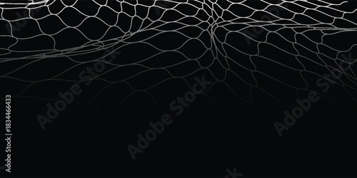 Net pattern black and white. Rope net vector silhouette. eps 10