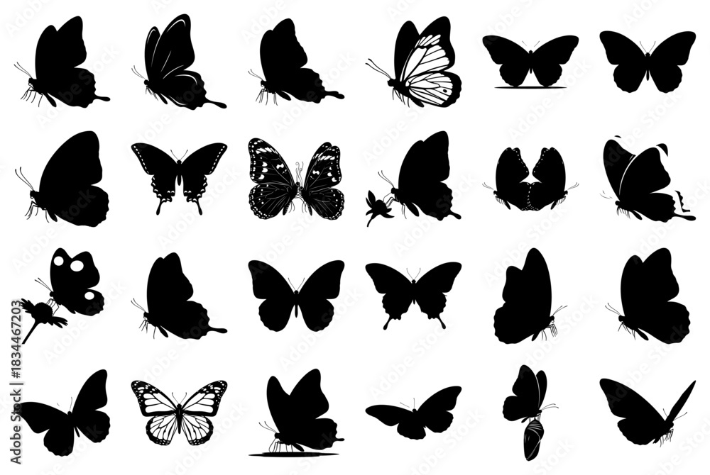 Obraz premium Collection of Black Butterfly Silhouettes in Various Poses