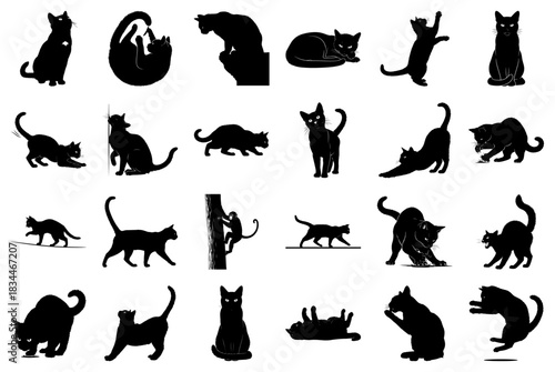 Black Cat Silhouettes Depicting a Range of Activities and Poses