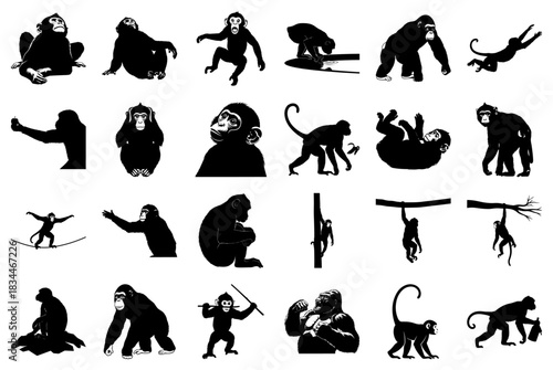 Collection of Monkey and Ape Silhouettes in Action Keywords: monkey, silhouette, ape, primate