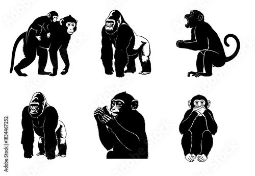 Group of Black Silhouettes of Monkeys and Gorillas Keywords: monkey, gorilla, silhouette, ape
