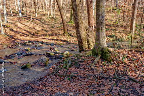 Creek in late autumn
