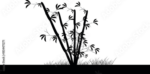 Bamboo tree silhouette