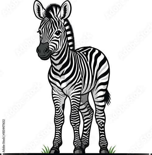 Adorable cartoon baby zebra with distinctive black and white stripes