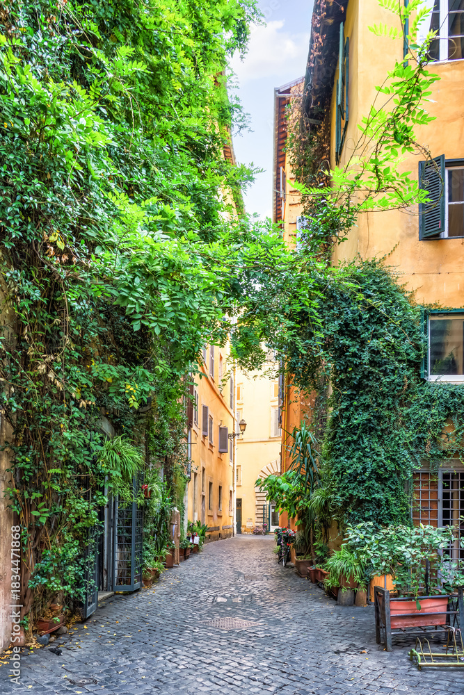 Fototapeta premium Charming narrow street in Rome, Italy, lined with lush greenery and vibrant plants, showcasing the beauty of Italian architecture and urban life