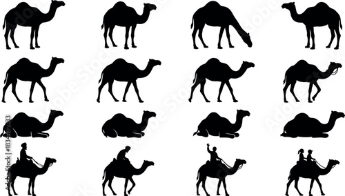 Camel Silhouettes in Varied Poses and Rider Scenes, Desert Animal Vector Icons for Design - flavector
