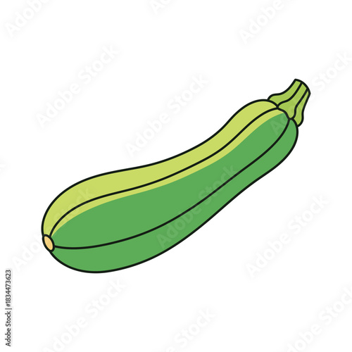 zucchini vegetable vector illustration