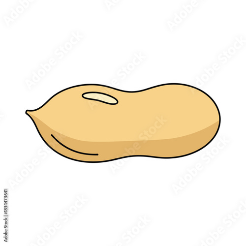 soybean vegetable vector illustration