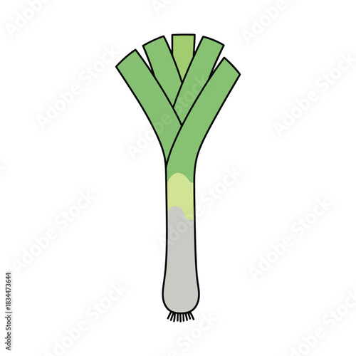 leek vegetable vector illustration