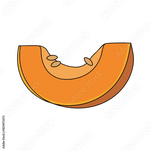 pumpkin vegetable slice vector illustration