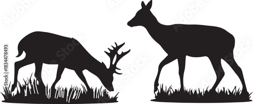 Black vector illustration of a wild mammal deer silhouette in nature