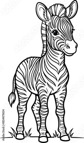 Adorable baby zebra coloring page for kids fun and learning