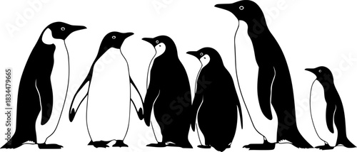 Standing and waddling penguins, solid silhouette, minimal vector design
