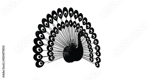 Elegant peacock displaying its vibrant fanned tail feathers in a striking silhouette