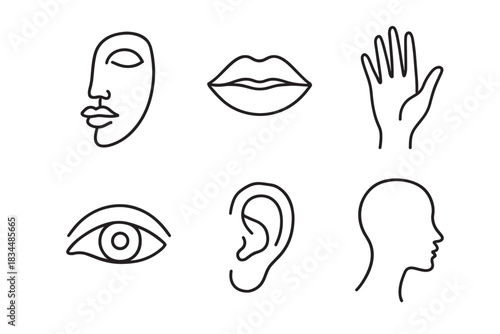 Set of minimalist line art illustrations featuring abstract human faces, body parts, and sensory organs like an eye, ear, lips, and hand, drawn in a simple, modern continuous line style