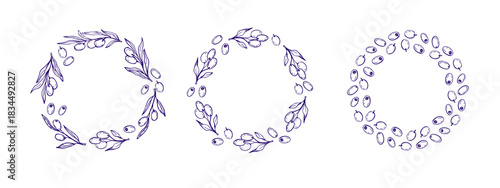 Round frame with olives set. Circular arrangement of olives and olive leaves for food-related designs, Mediterranean themes, and culinary projects. Vector doodle sketch olives wreath, vegan diet