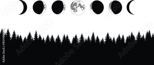 Moon phases illustration, forest silhouette, lunar cycle vector, night sky clipart, astronomy icons, waxing waning moon art