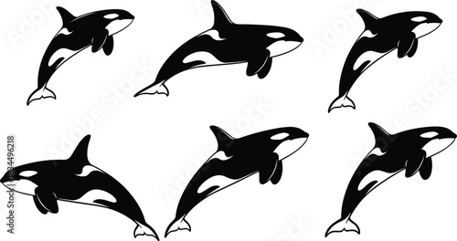Orca silhouettes, killer whale vector, marine animal clipart, ocean wildlife icons, black and white orca illustrations