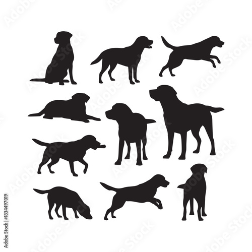 Labrador Retriever Dog Silhouettes Collection, Labrador Retriever Silhouette, Dog Vector, Pet Illustration