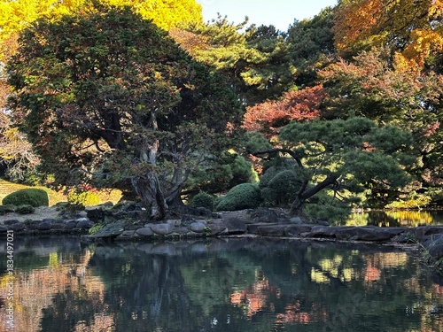 autumn in the park