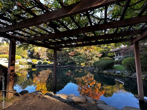 japanese garden in autumn