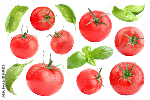Fresh tomatoes and green basil leaves isolated on white, set