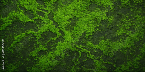 Green forest moss texture on a stone, a fresh nature background for summer wallpaper