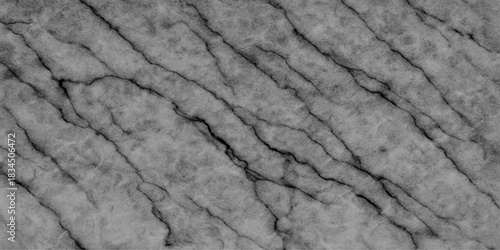 Old brown grunge wood bark texture pattern with a cracked, dry, and aged surface for vintage backgrounds