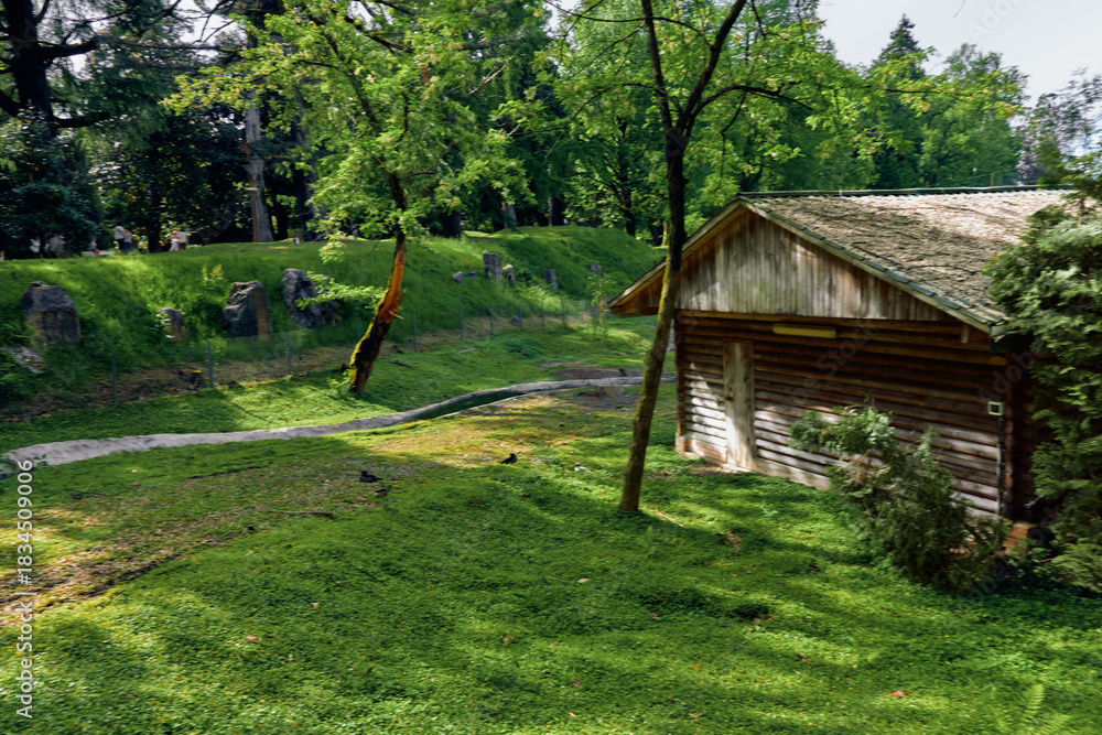 Fototapeta premium Cabin, grass, trees, path, forest, sunlight: Rustic wooden cabin beside green lawn and shaded trees with a gravel path, peaceful countryside scene for nature, relaxation and outdoor retreat.