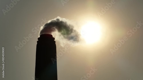 Thick smoke bursts from a brickfield chimney under the blazing sun, filling the sky and quietly harming nearby habitats, showing the harsh impact of industrial pollution.