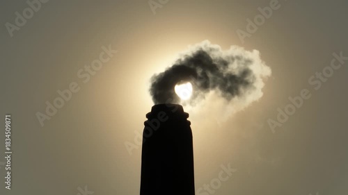 Thick smoke bursts from a brickfield chimney under the blazing sun, filling the sky and quietly harming nearby habitats, showing the harsh impact of industrial pollution.