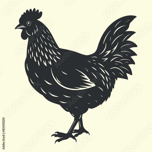 Vector cartoon illustration of a domestic rooster, fowl, or cockerel bird isolated on a white background for farm and poultry animal image libraries