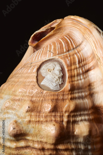 camée d'homme gravé dans un coquillage