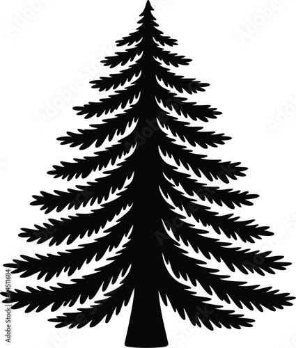 Silhouette of a Tall Evergreen Fir Tree with Dense Foliage on a White Background Keywords: tree, evergreen, fir, pine, conifer