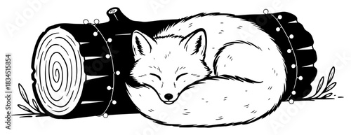Cute sleeping fox curled up inside hollow wooden log vector black and white nature illustration sketch of wild animal resting