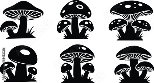 Flat silhouette mushroom icon set in two row grid showing six front facing toadstools with varied cap shapes grass tufts stacked stems decorative gills bold black vector art