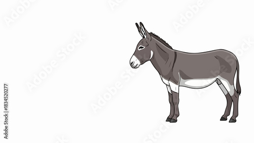 Gray donkey standing on white background, illustration of domestic Equus asinus with short dark mane and tail. Simple gray donkey image for educational materials and children's books.